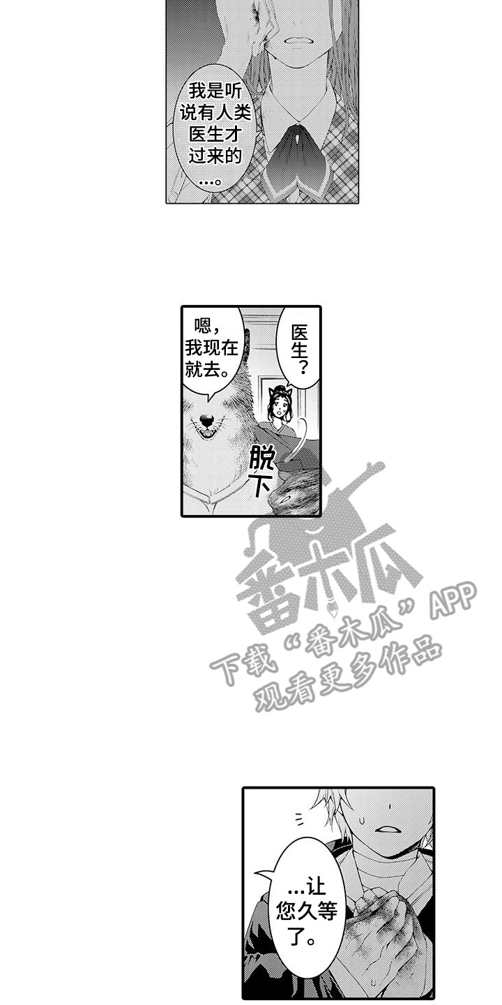 《毛绒绒男友》漫画最新章节第8章：处理伤口免费下拉式在线观看章节第【12】张图片