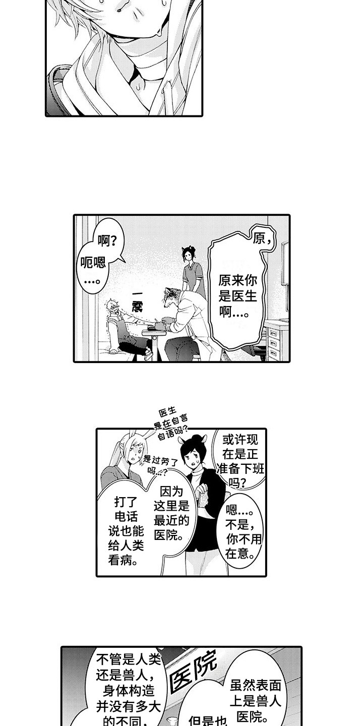 《毛绒绒男友》漫画最新章节第8章：处理伤口免费下拉式在线观看章节第【7】张图片