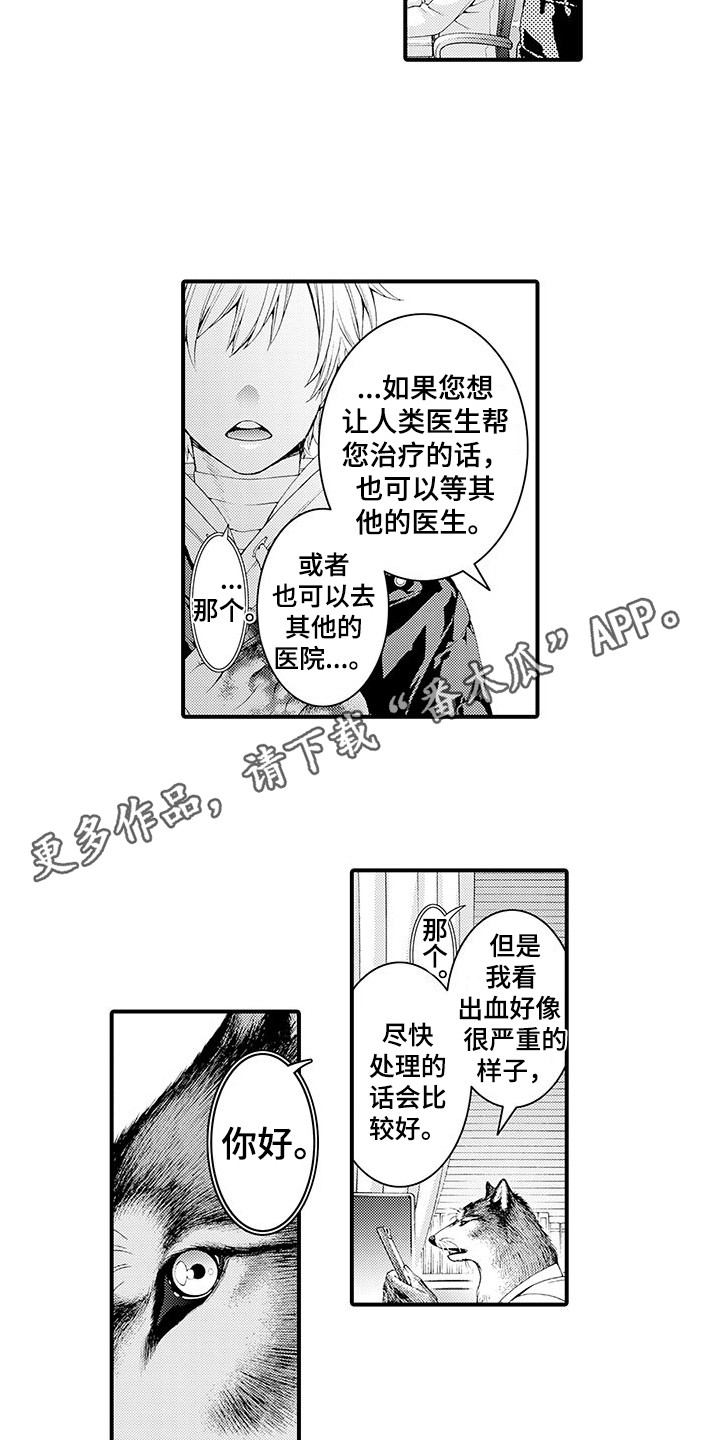 《毛绒绒男友》漫画最新章节第8章：处理伤口免费下拉式在线观看章节第【10】张图片