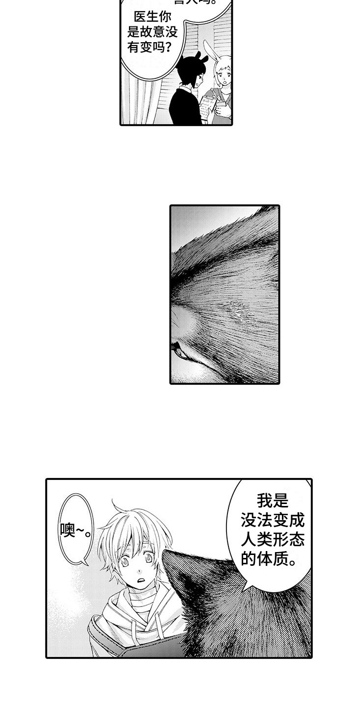 《毛绒绒男友》漫画最新章节第9章：会等你的免费下拉式在线观看章节第【12】张图片