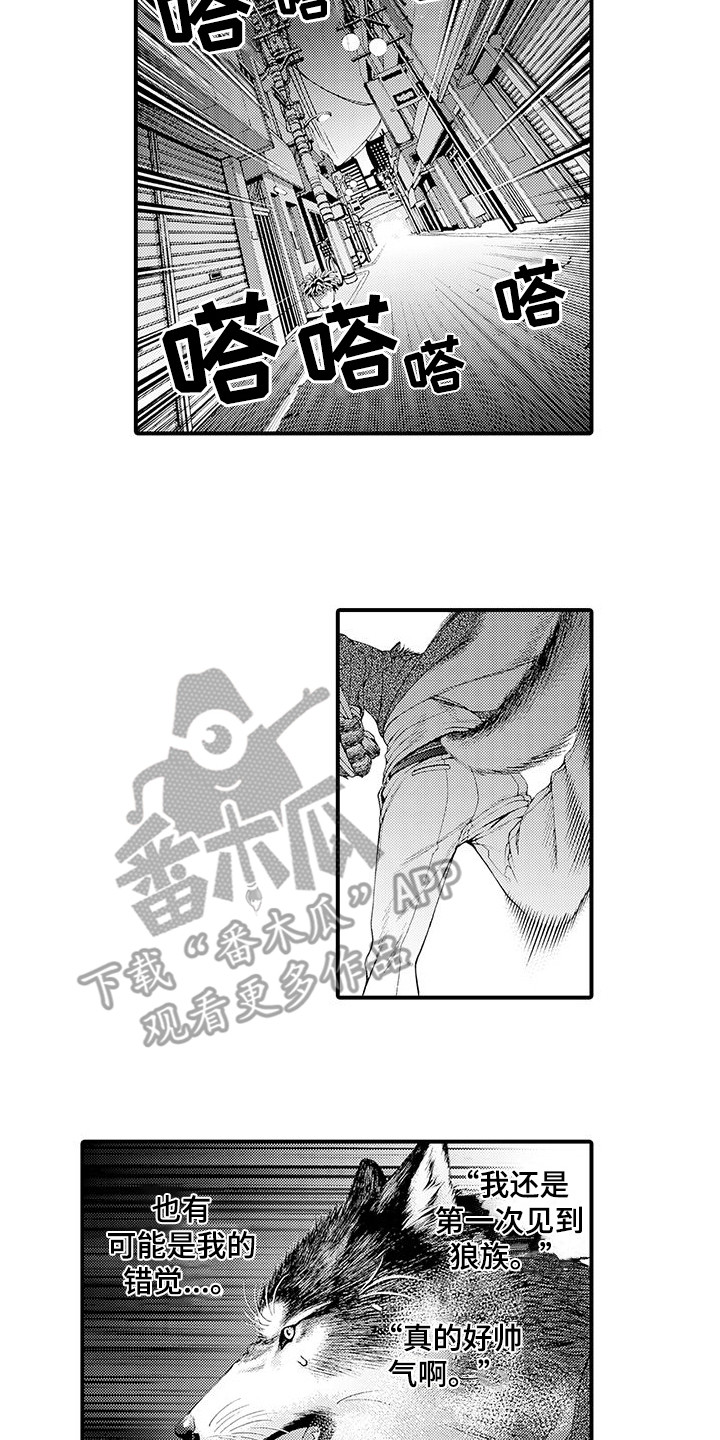 《毛绒绒男友》漫画最新章节第10章：想通了免费下拉式在线观看章节第【3】张图片