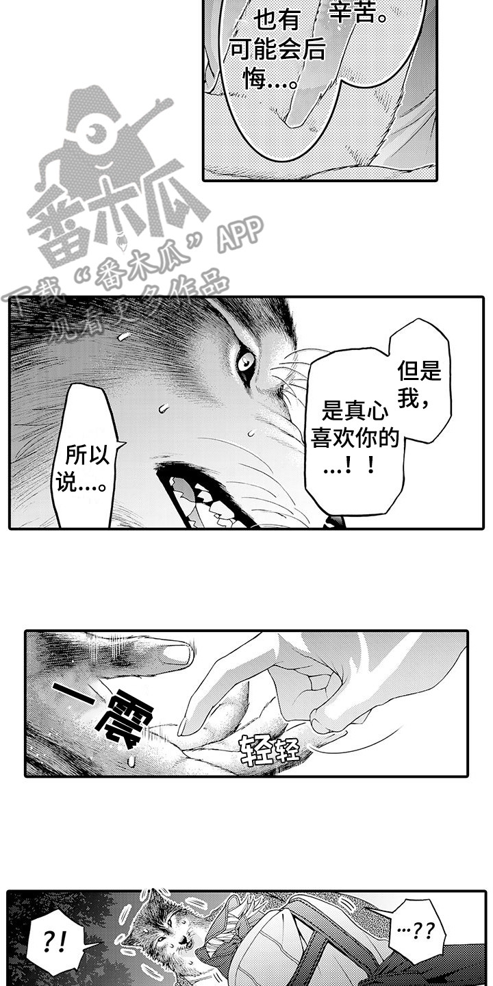 《毛绒绒男友》漫画最新章节第11章：表白免费下拉式在线观看章节第【4】张图片