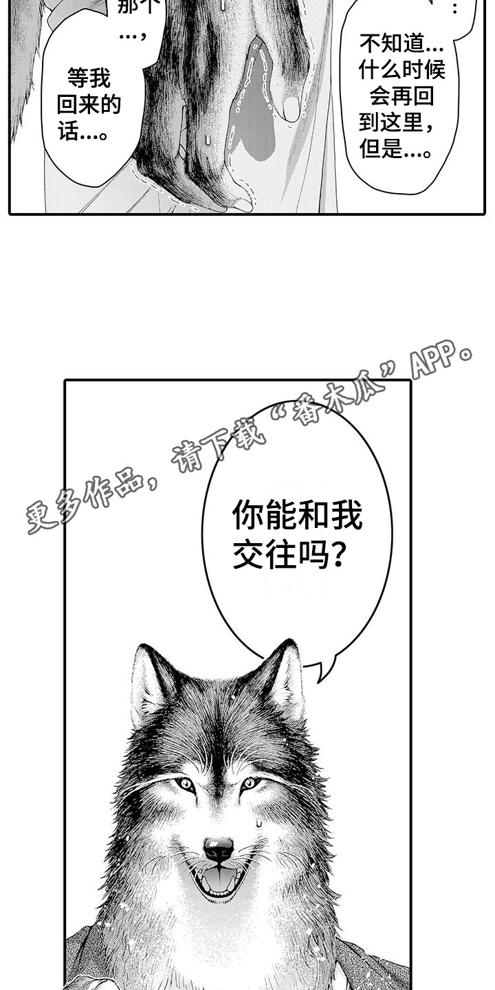 《毛绒绒男友》漫画最新章节第11章：表白免费下拉式在线观看章节第【6】张图片