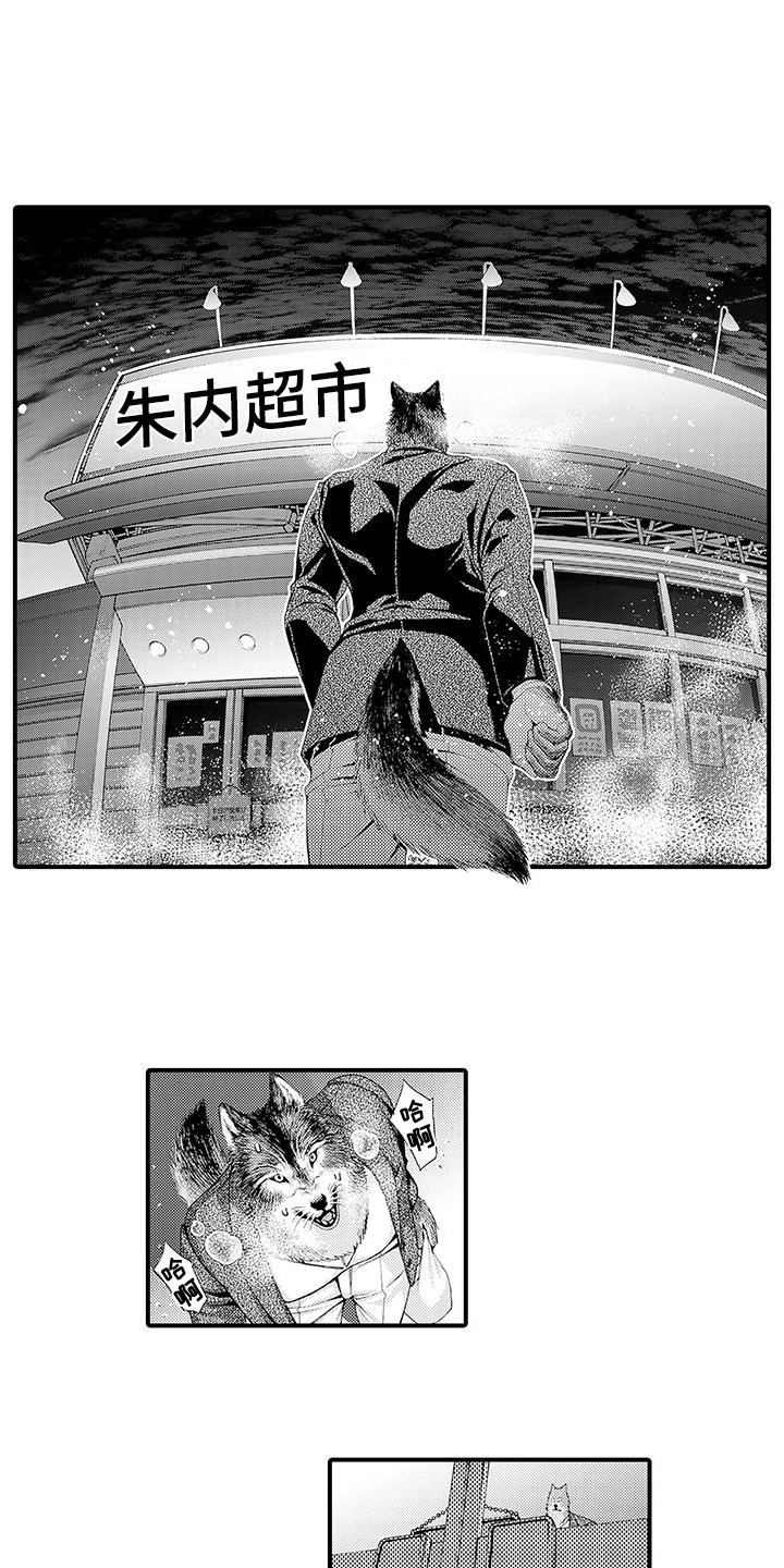 《毛绒绒男友》漫画最新章节第11章：表白免费下拉式在线观看章节第【13】张图片