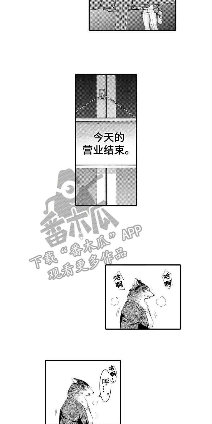 《毛绒绒男友》漫画最新章节第11章：表白免费下拉式在线观看章节第【12】张图片