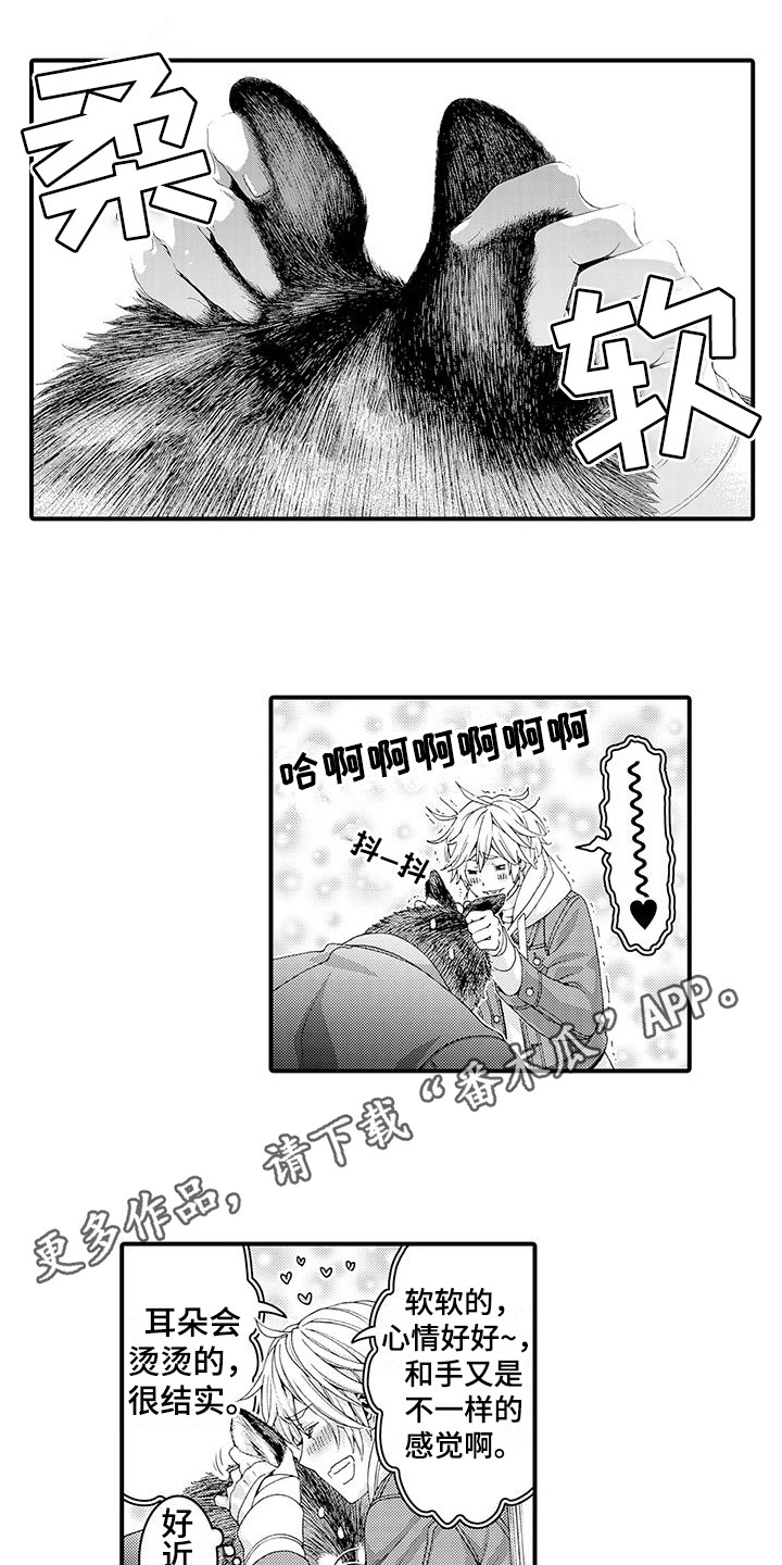 《毛绒绒男友》漫画最新章节第16章：很柔软  免费下拉式在线观看章节第【5】张图片