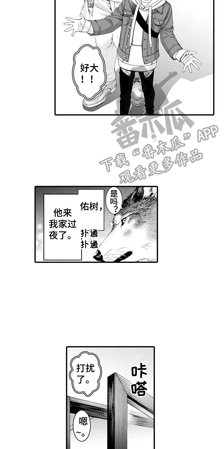 《毛绒绒男友》漫画最新章节第18章：宽敞的房间免费下拉式在线观看章节第【11】张图片