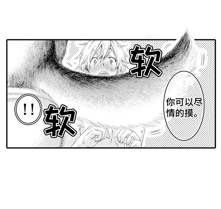 《毛绒绒男友》漫画最新章节第19章：一起洗免费下拉式在线观看章节第【1】张图片