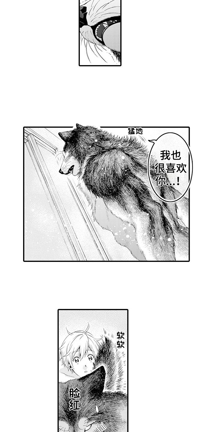 《毛绒绒男友》漫画最新章节第20章：很温暖免费下拉式在线观看章节第【11】张图片