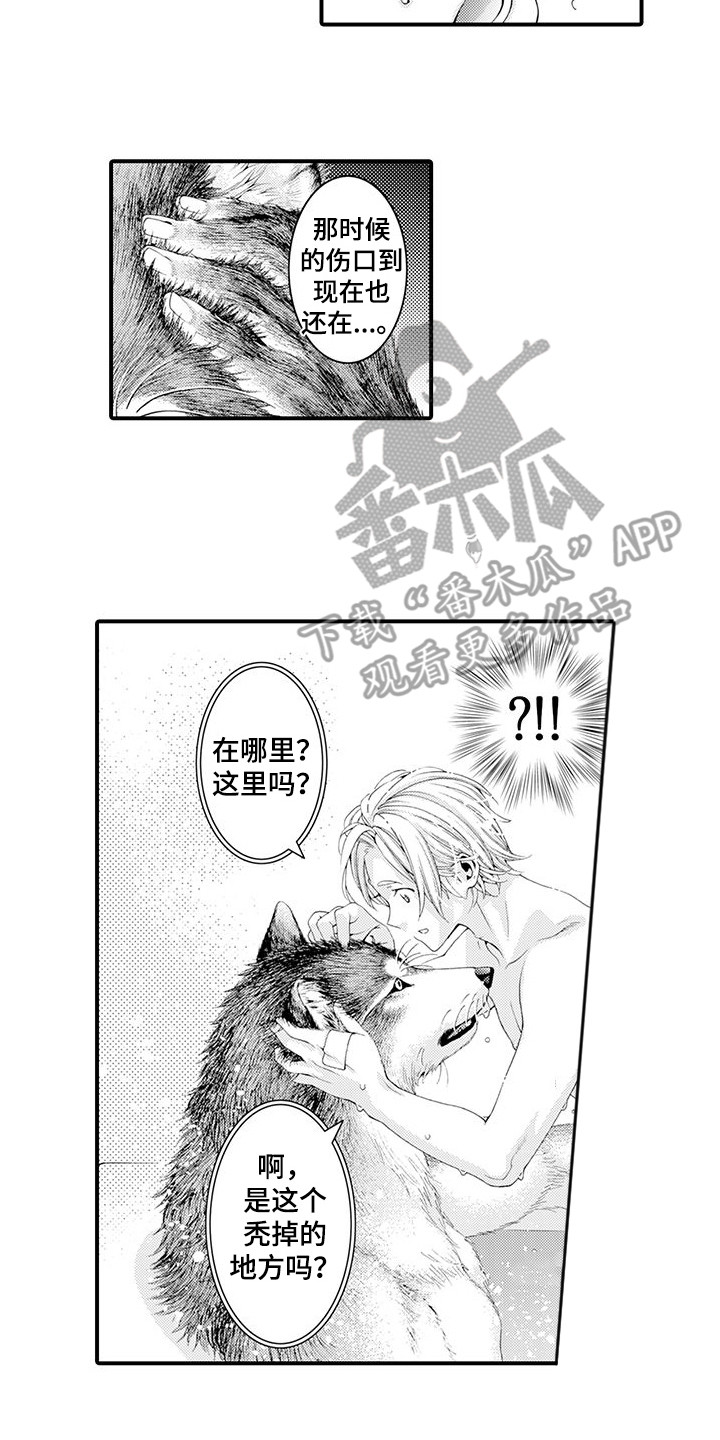 《毛绒绒男友》漫画最新章节第20章：很温暖免费下拉式在线观看章节第【2】张图片