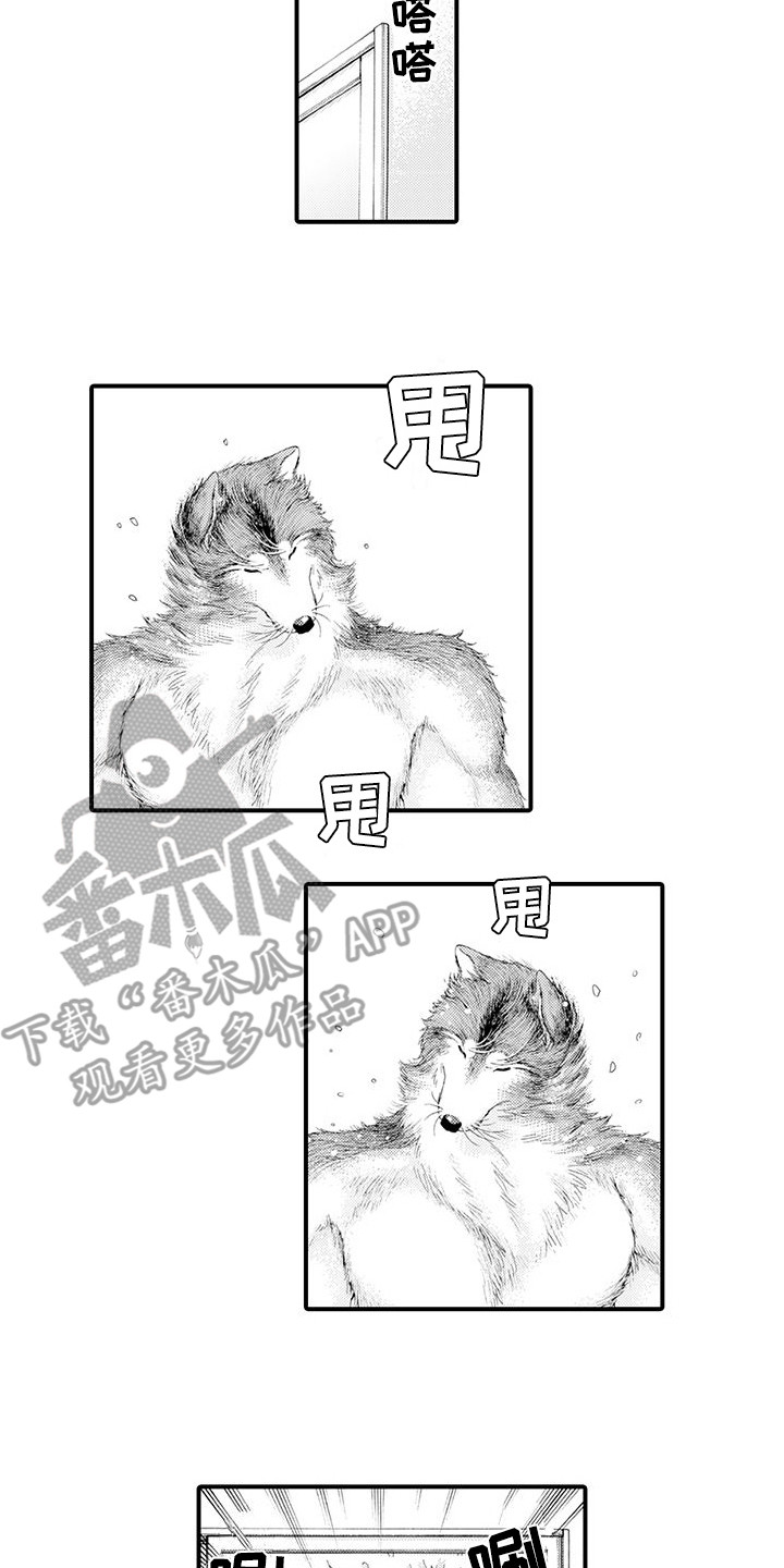 《毛绒绒男友》漫画最新章节第21章：变得喜欢免费下拉式在线观看章节第【8】张图片