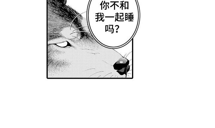 《毛绒绒男友》漫画最新章节第21章：变得喜欢免费下拉式在线观看章节第【1】张图片