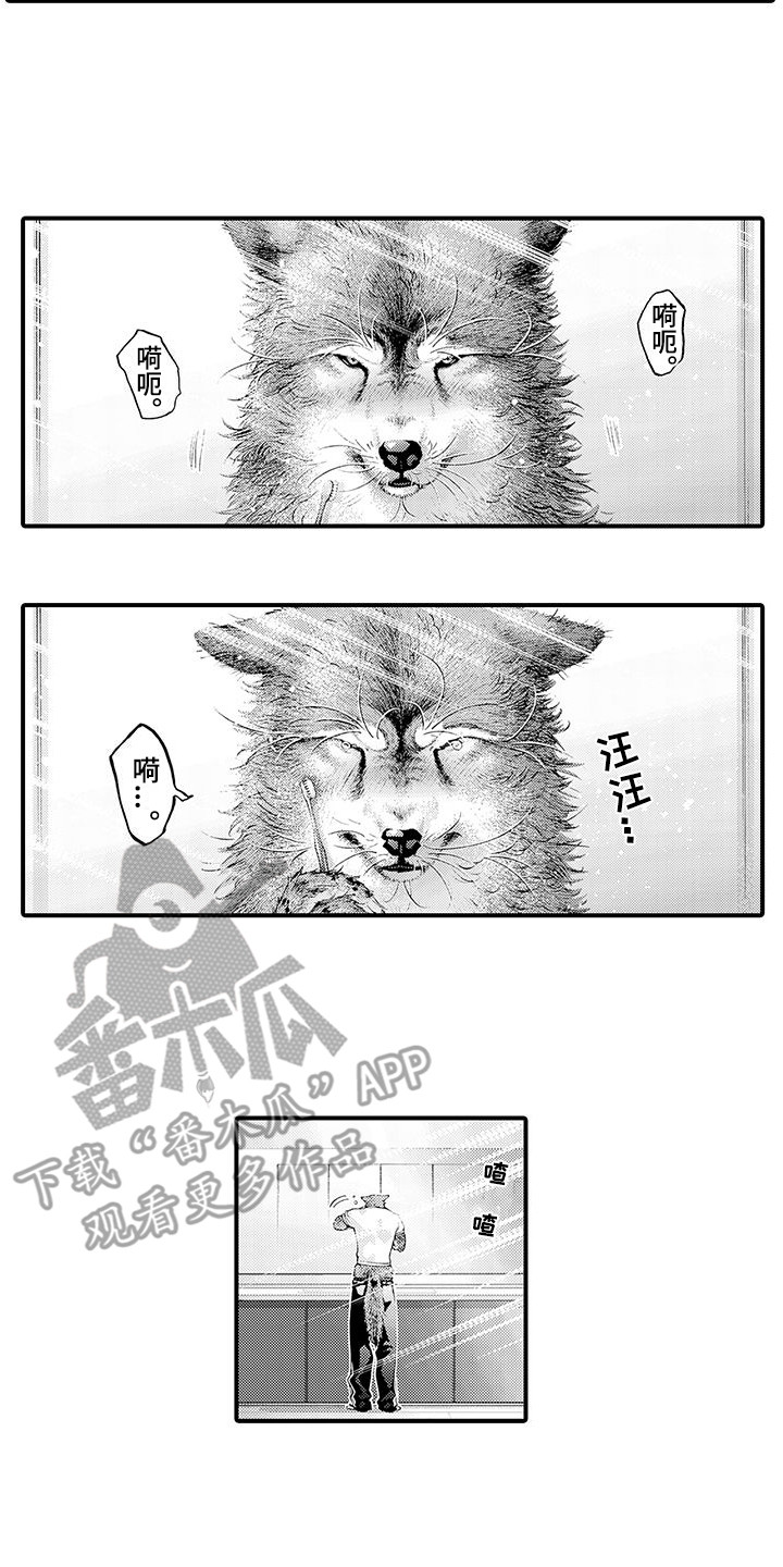 《毛绒绒男友》漫画最新章节第28章：自责免费下拉式在线观看章节第【11】张图片