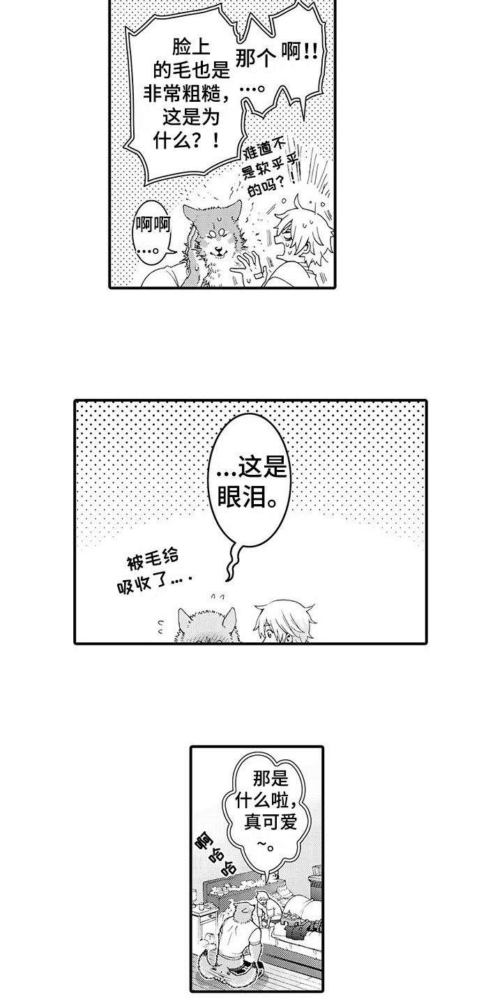 《毛绒绒男友》漫画最新章节第30章：并不讨厌免费下拉式在线观看章节第【5】张图片