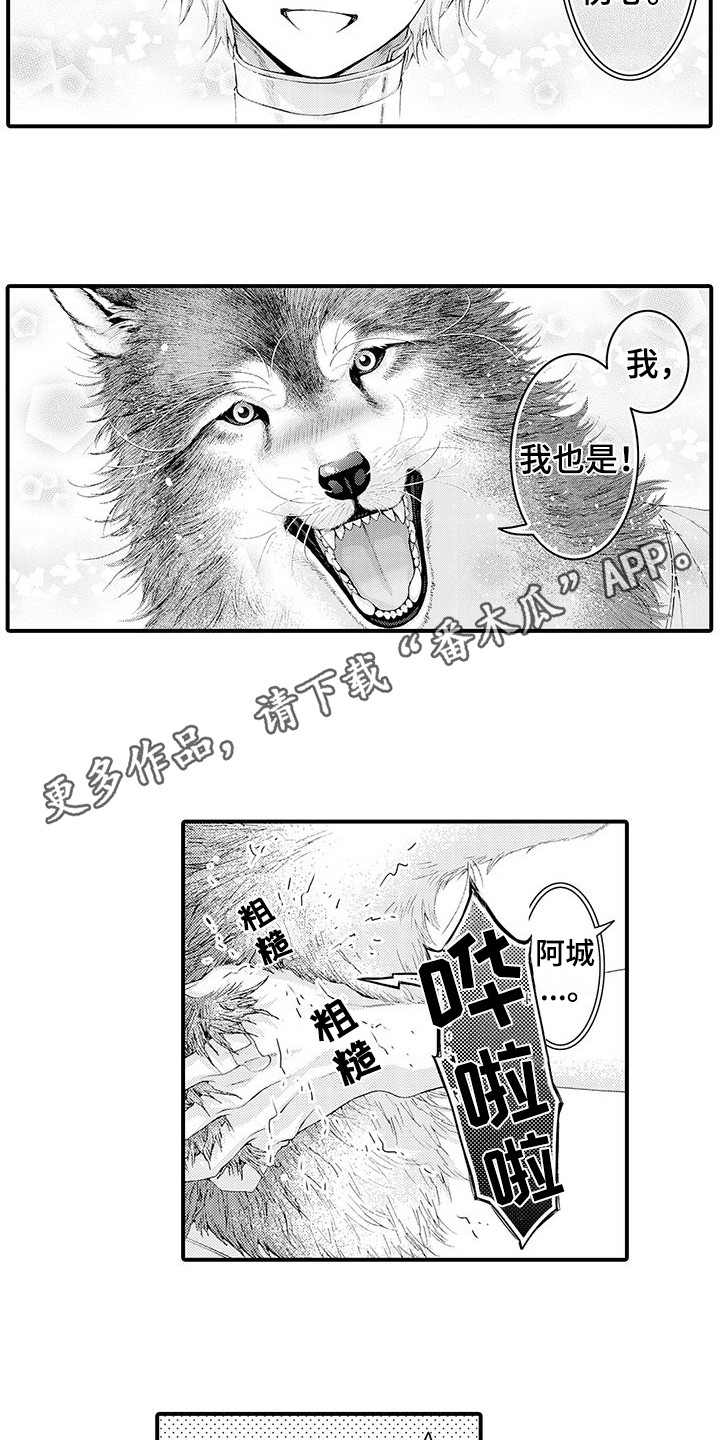 《毛绒绒男友》漫画最新章节第30章：并不讨厌免费下拉式在线观看章节第【6】张图片