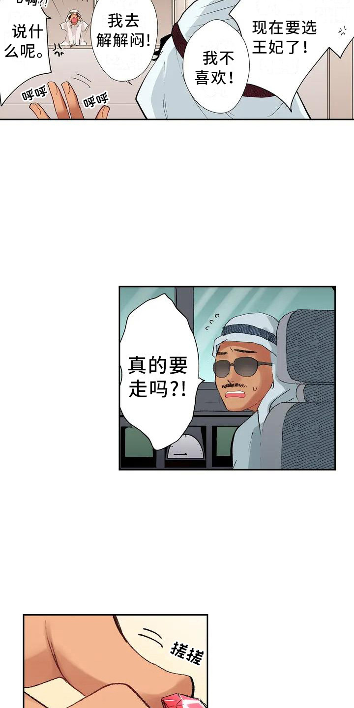 《平民王妃》漫画最新章节第1章：王子免费下拉式在线观看章节第【15】张图片