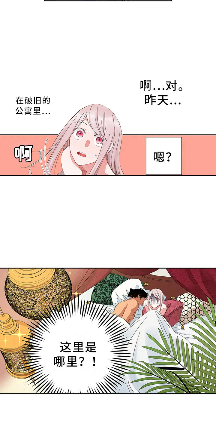 《平民王妃》漫画最新章节第5章：找到王妃了免费下拉式在线观看章节第【8】张图片