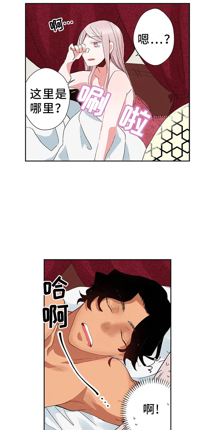 《平民王妃》漫画最新章节第5章：找到王妃了免费下拉式在线观看章节第【9】张图片