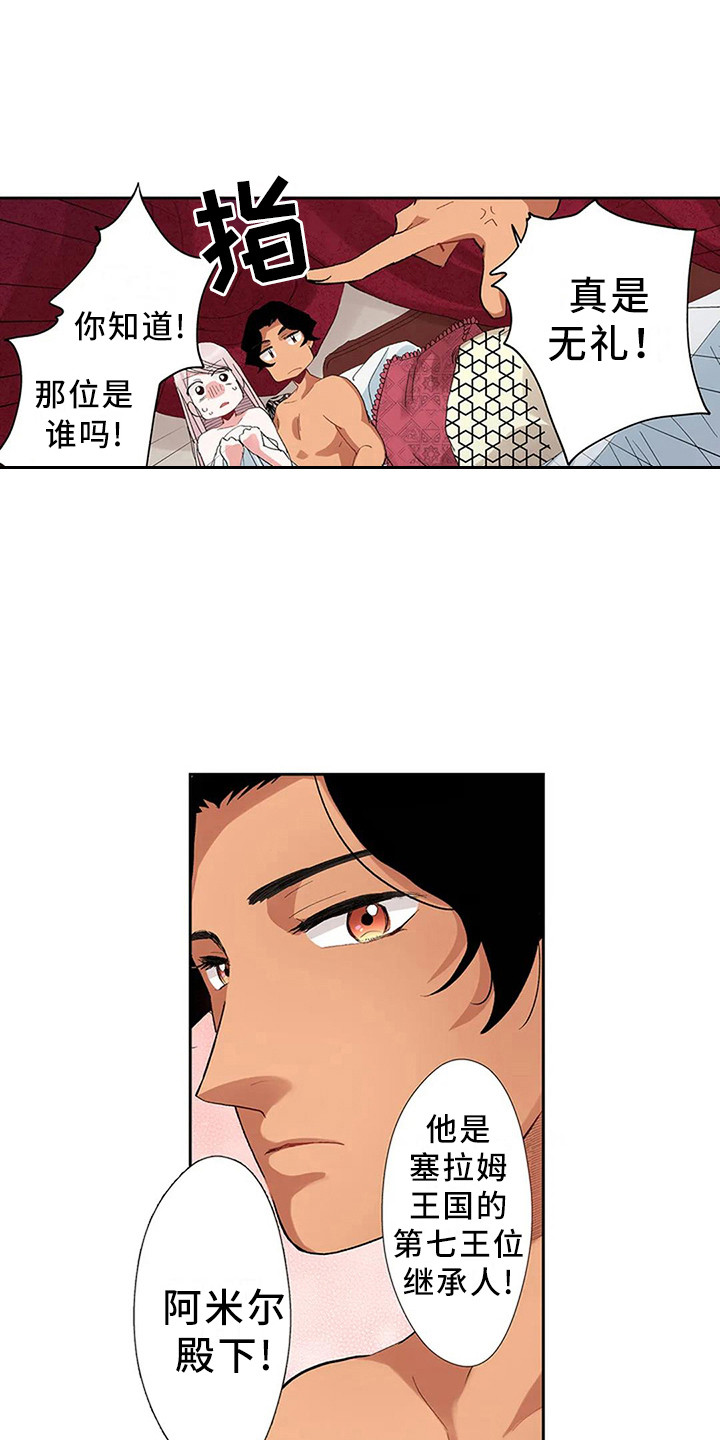 《平民王妃》漫画最新章节第6章：奢华免费下拉式在线观看章节第【14】张图片