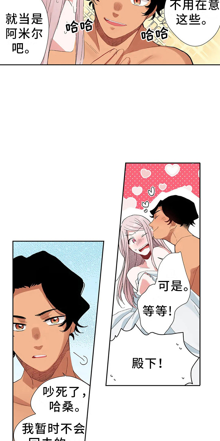 《平民王妃》漫画最新章节第6章：奢华免费下拉式在线观看章节第【11】张图片