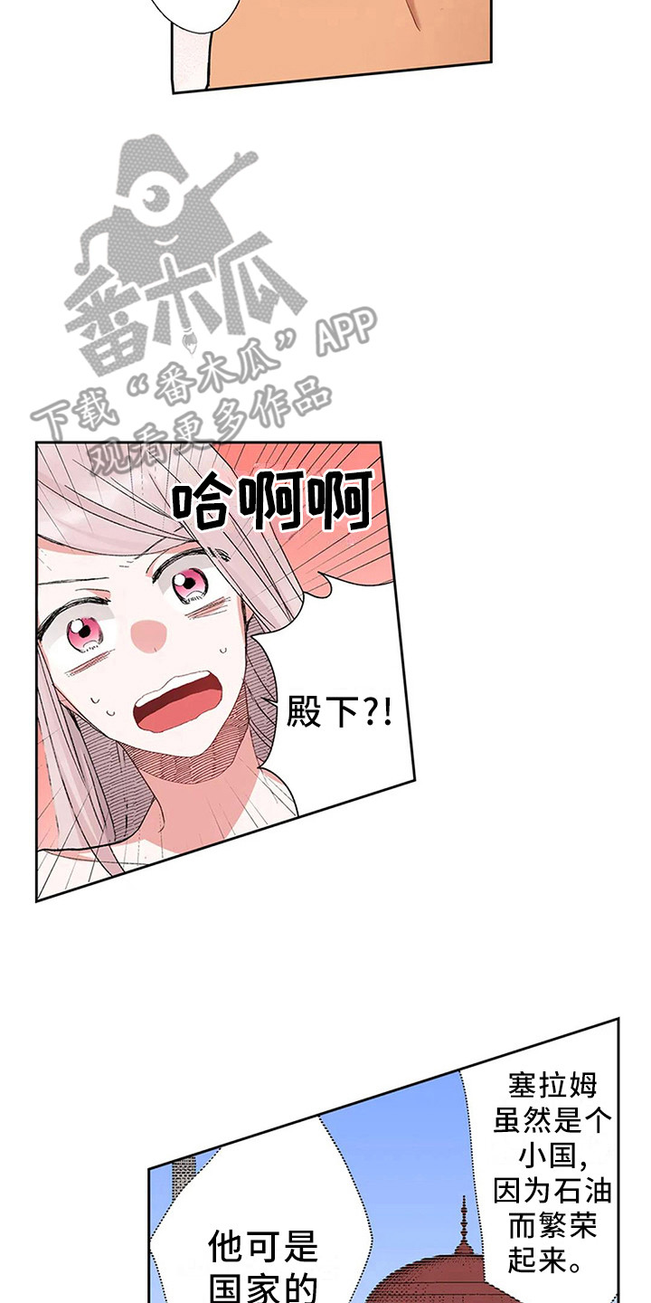 《平民王妃》漫画最新章节第6章：奢华免费下拉式在线观看章节第【13】张图片