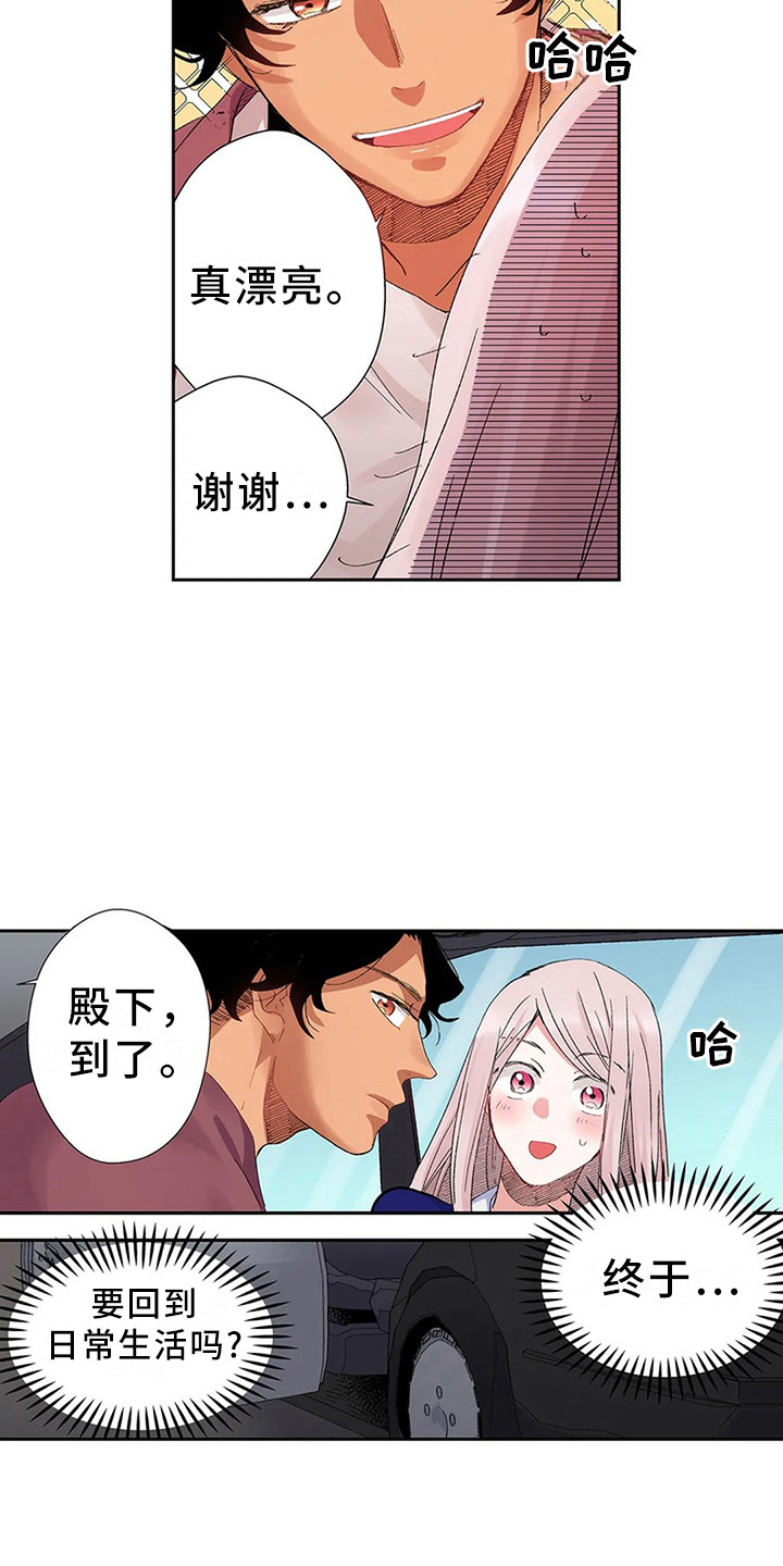 《平民王妃》漫画最新章节第6章：奢华免费下拉式在线观看章节第【2】张图片