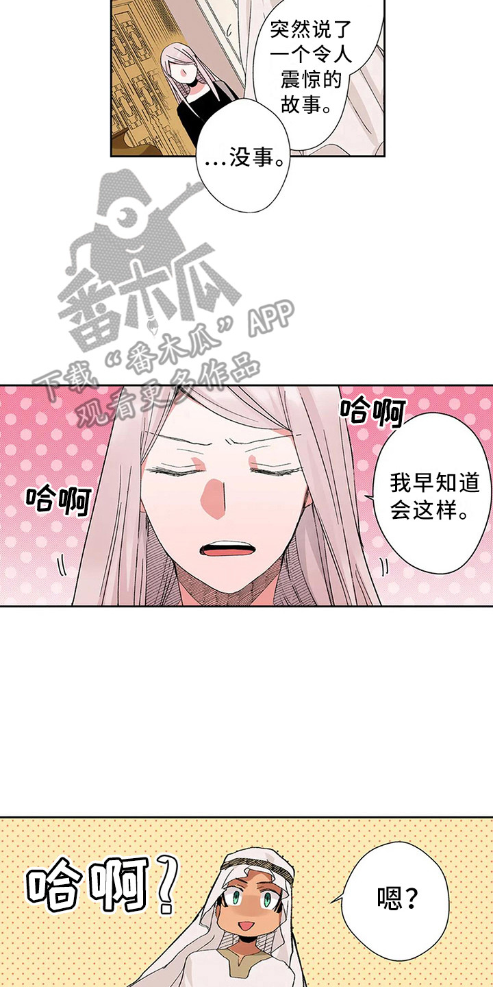 《平民王妃》漫画最新章节第12章：又见面了免费下拉式在线观看章节第【13】张图片