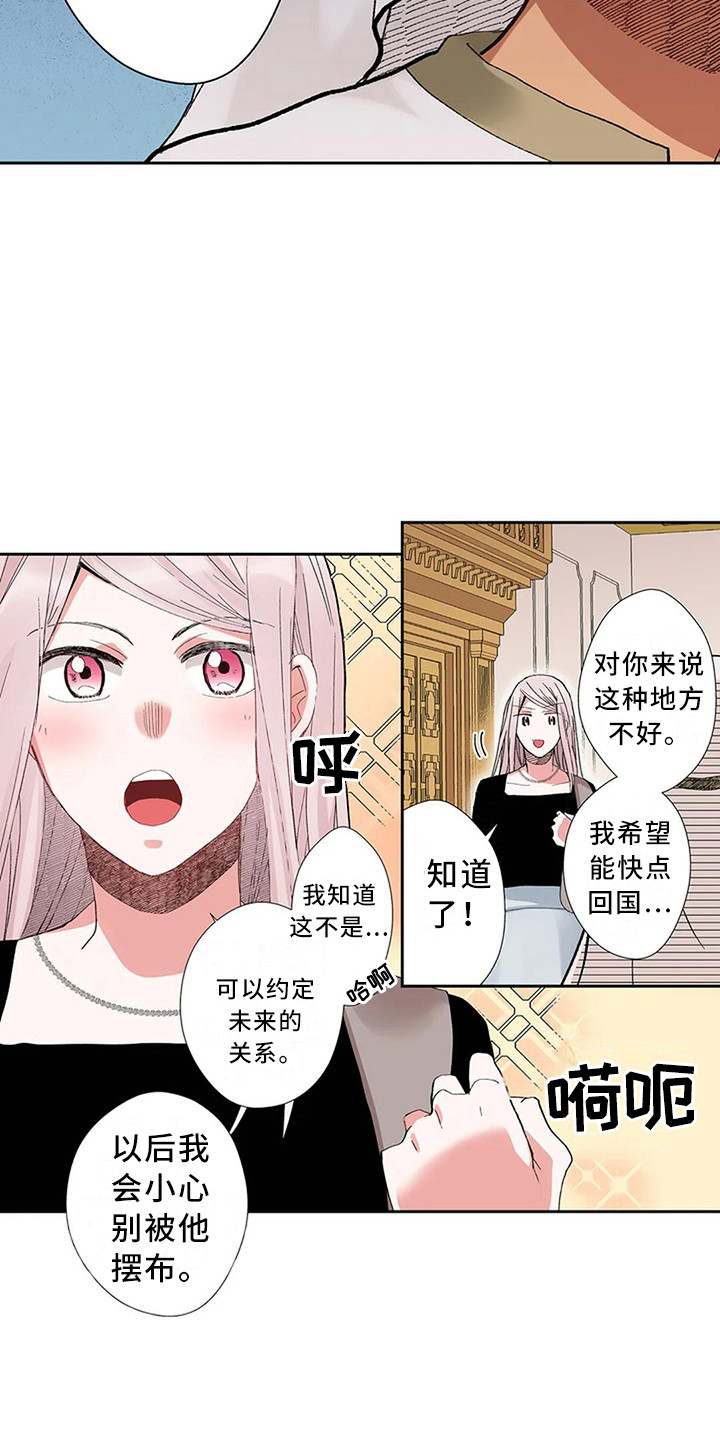 《平民王妃》漫画最新章节第12章：又见面了免费下拉式在线观看章节第【9】张图片