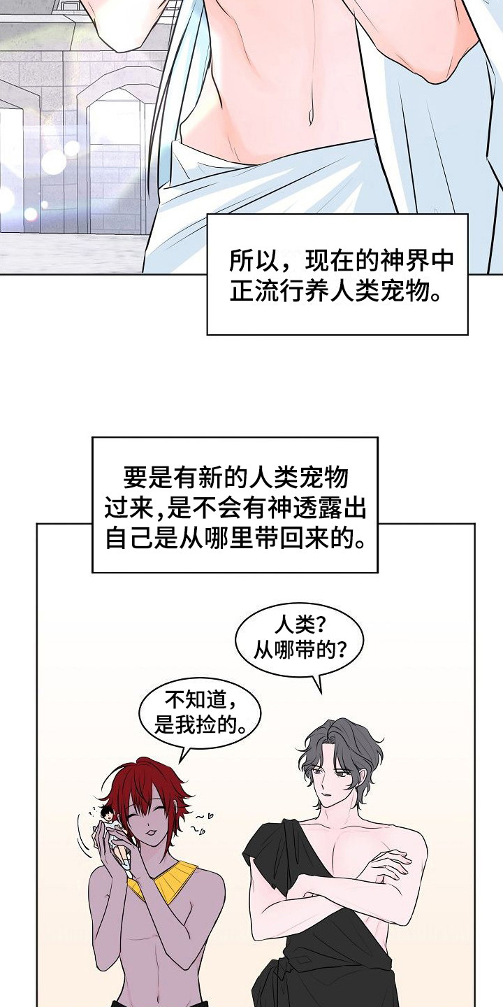 《人类饲养》漫画最新章节第1章：人类宠物免费下拉式在线观看章节第【13】张图片