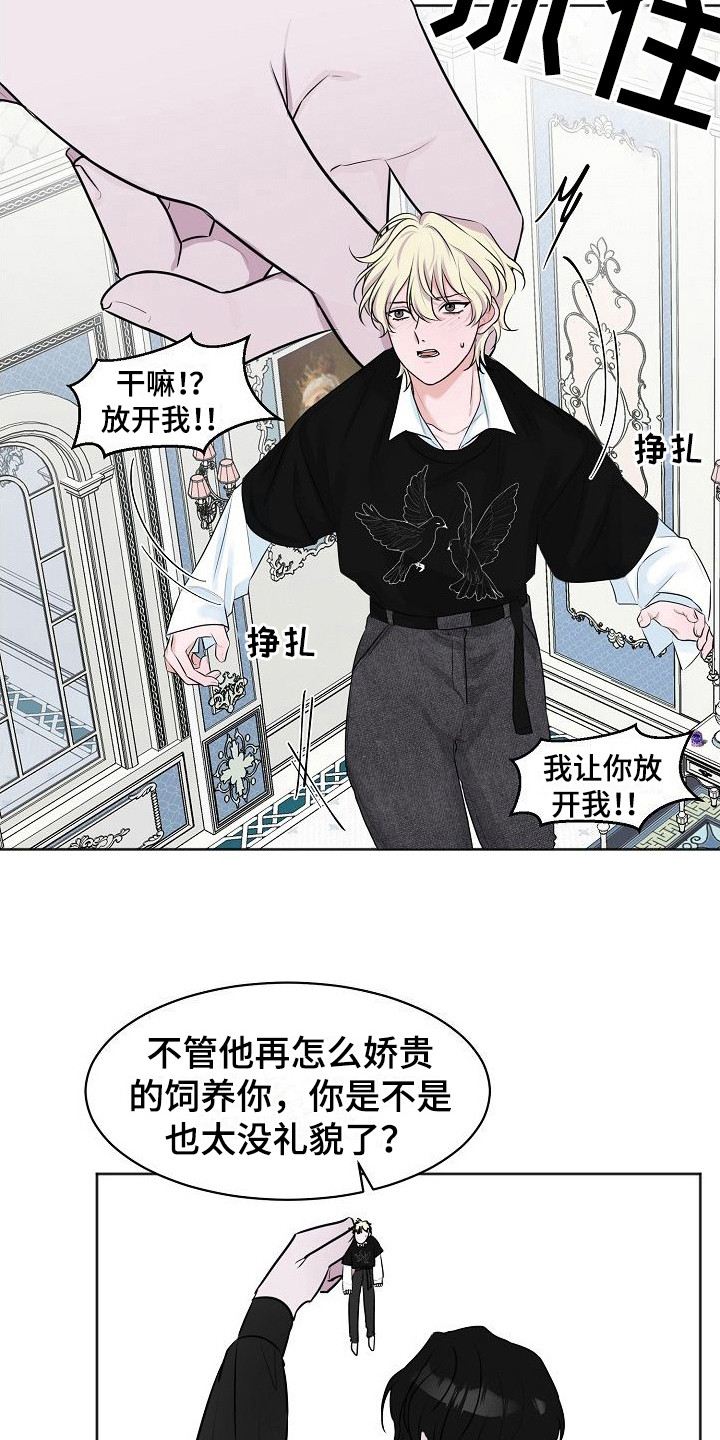 《人类饲养》漫画最新章节第3章：吵闹免费下拉式在线观看章节第【3】张图片