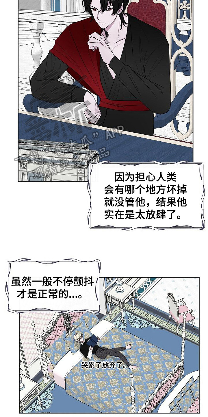 《人类饲养》漫画最新章节第4章：喜好免费下拉式在线观看章节第【14】张图片