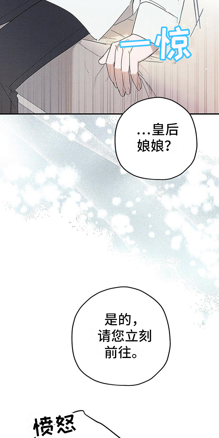 《皇室权谋》漫画最新章节第2章：欧米伽王子免费下拉式在线观看章节第【14】张图片