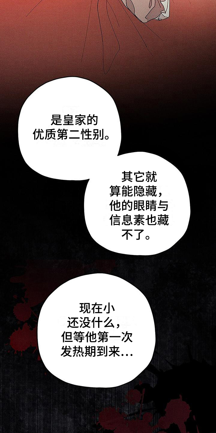 《皇室权谋》漫画最新章节第6章：竞争免费下拉式在线观看章节第【14】张图片