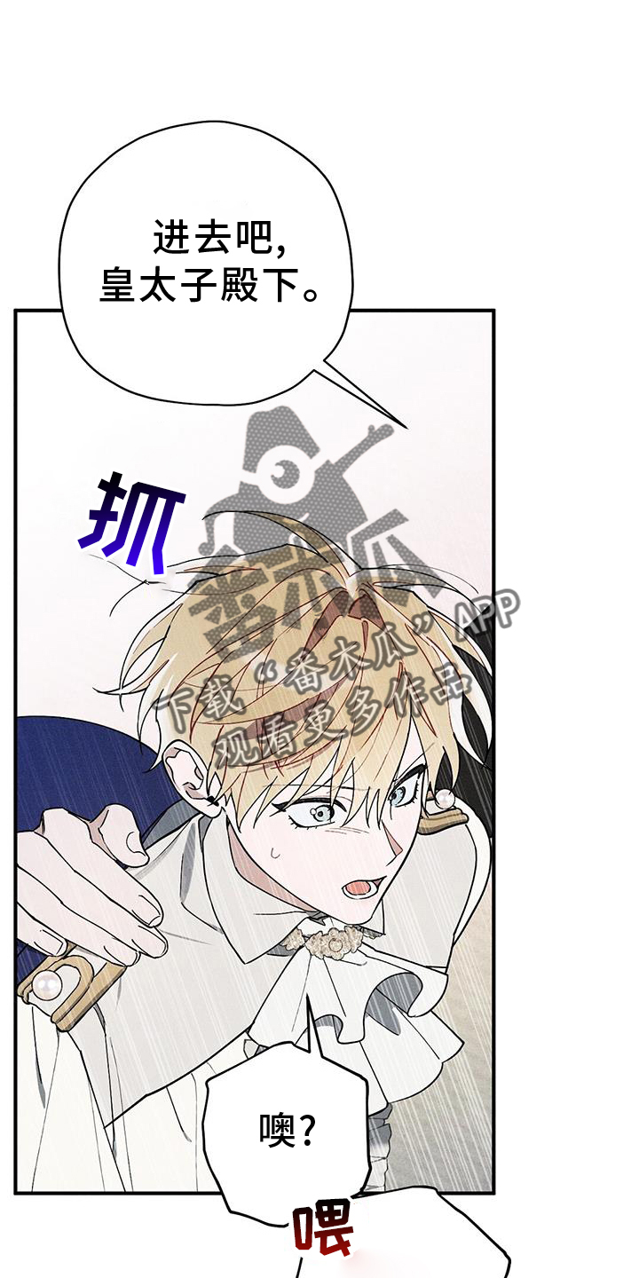 《皇室权谋》漫画最新章节第28章：引人注目免费下拉式在线观看章节第【5】张图片