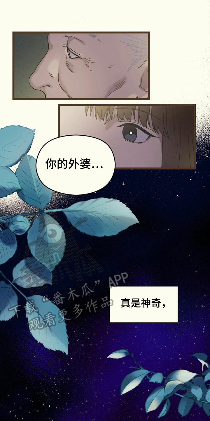 《意外的邂逅》漫画最新章节第9章：回忆免费下拉式在线观看章节第【12】张图片