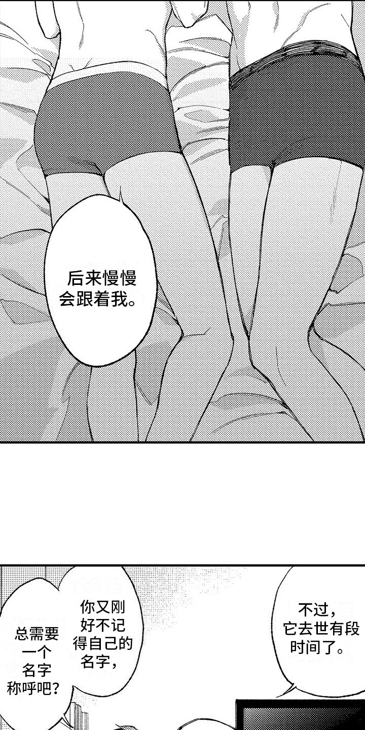 《帅鬼袭击了我》漫画最新章节第14章：好名字免费下拉式在线观看章节第【8】张图片