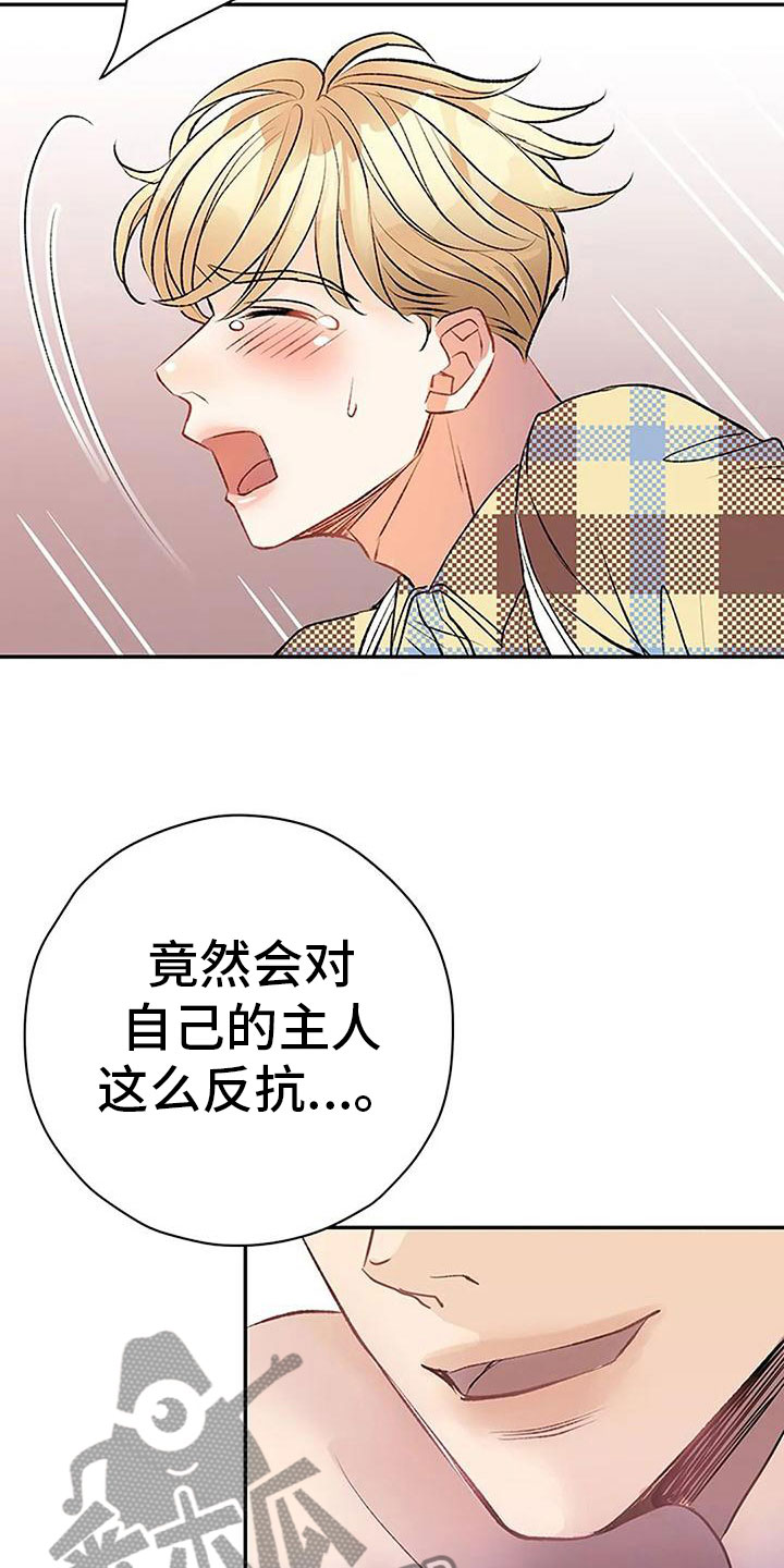 《父亲的遗产》漫画最新章节第15章：惩罚免费下拉式在线观看章节第【6】张图片