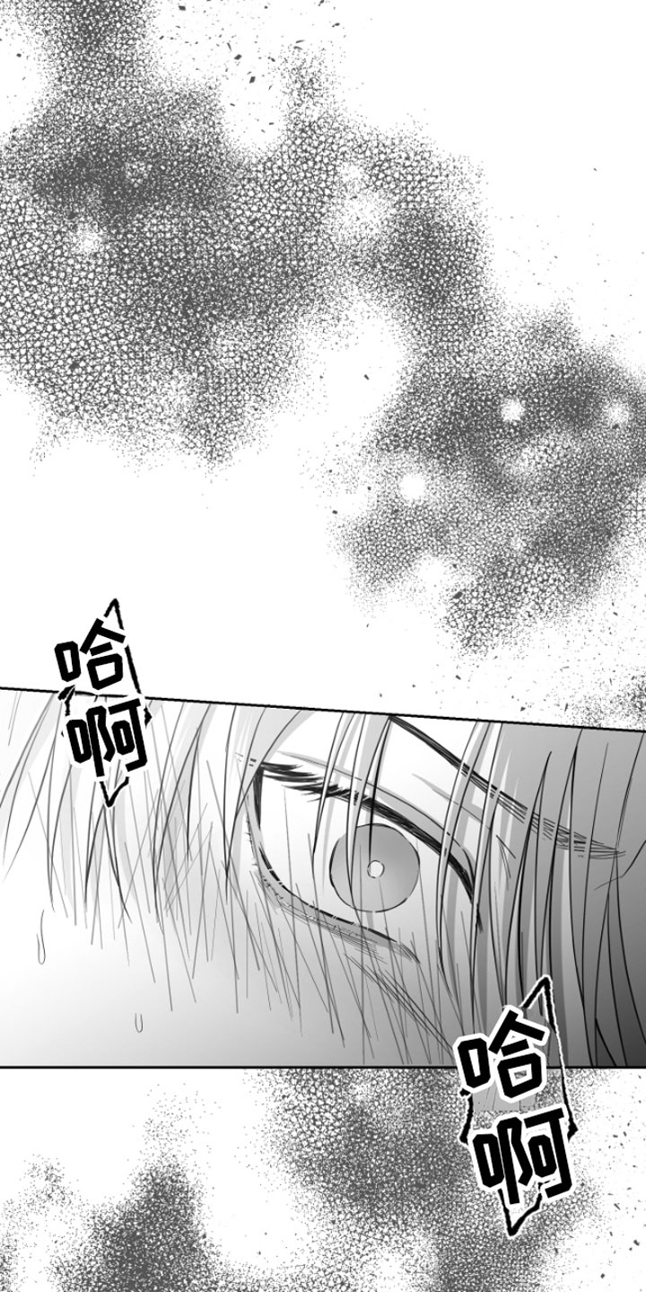 《狂乱欺压》漫画最新章节第6章：剪刀石头布免费下拉式在线观看章节第【17】张图片