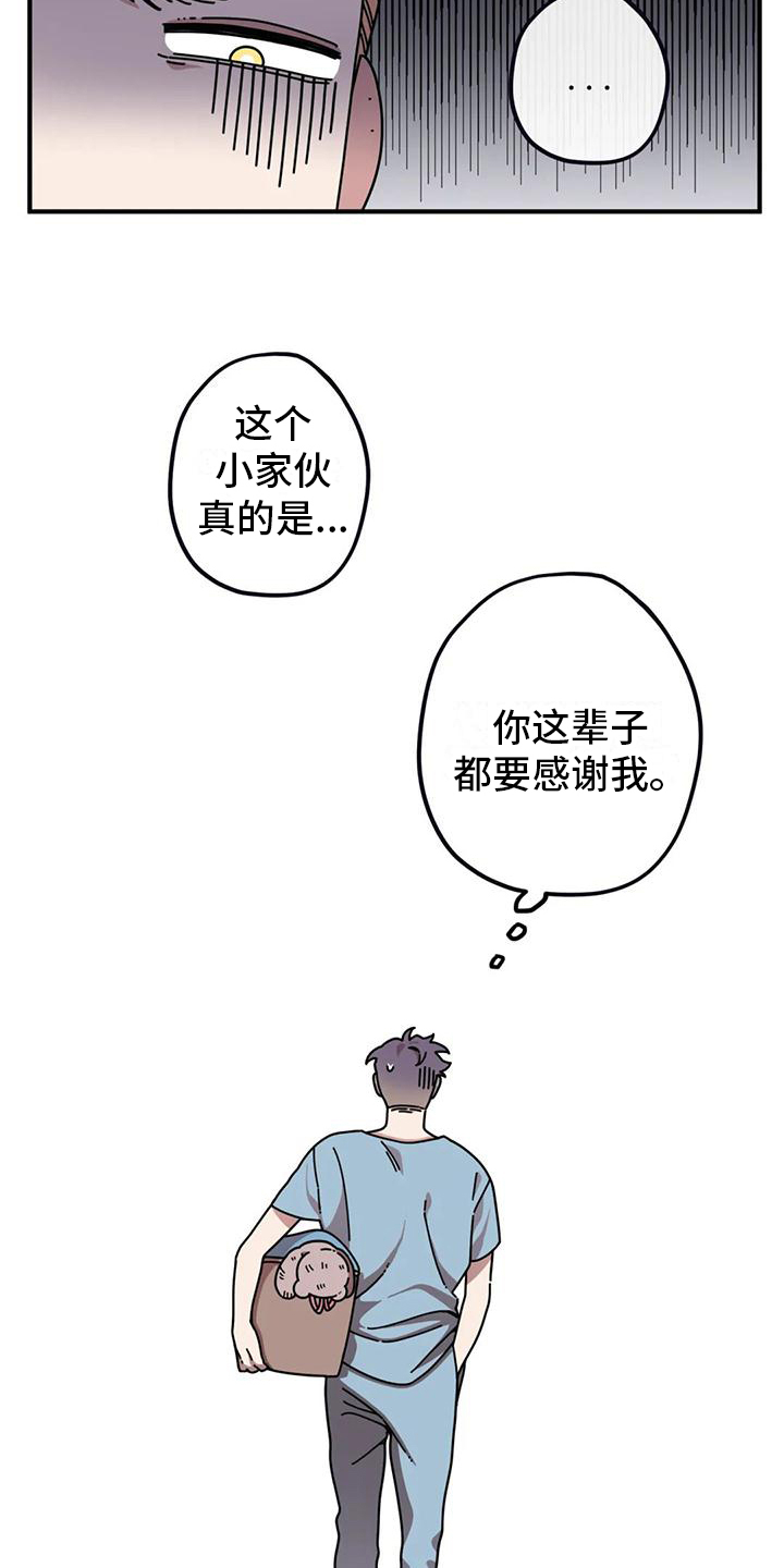 《温馨小熊》漫画最新章节第2章：失误免费下拉式在线观看章节第【11】张图片