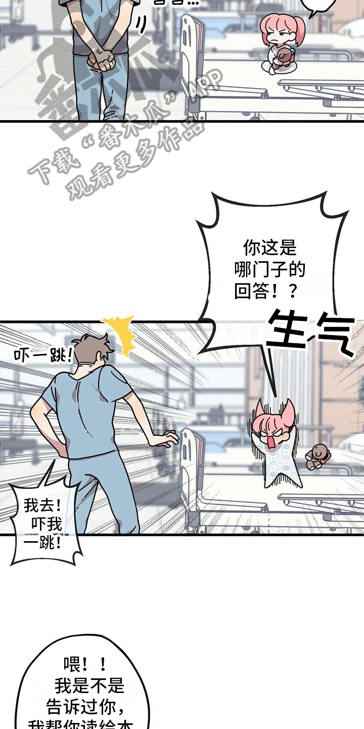 《温馨小熊》漫画最新章节第4章：新的小熊免费下拉式在线观看章节第【13】张图片