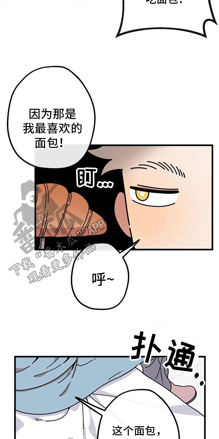 《温馨小熊》漫画最新章节第4章：新的小熊免费下拉式在线观看章节第【7】张图片