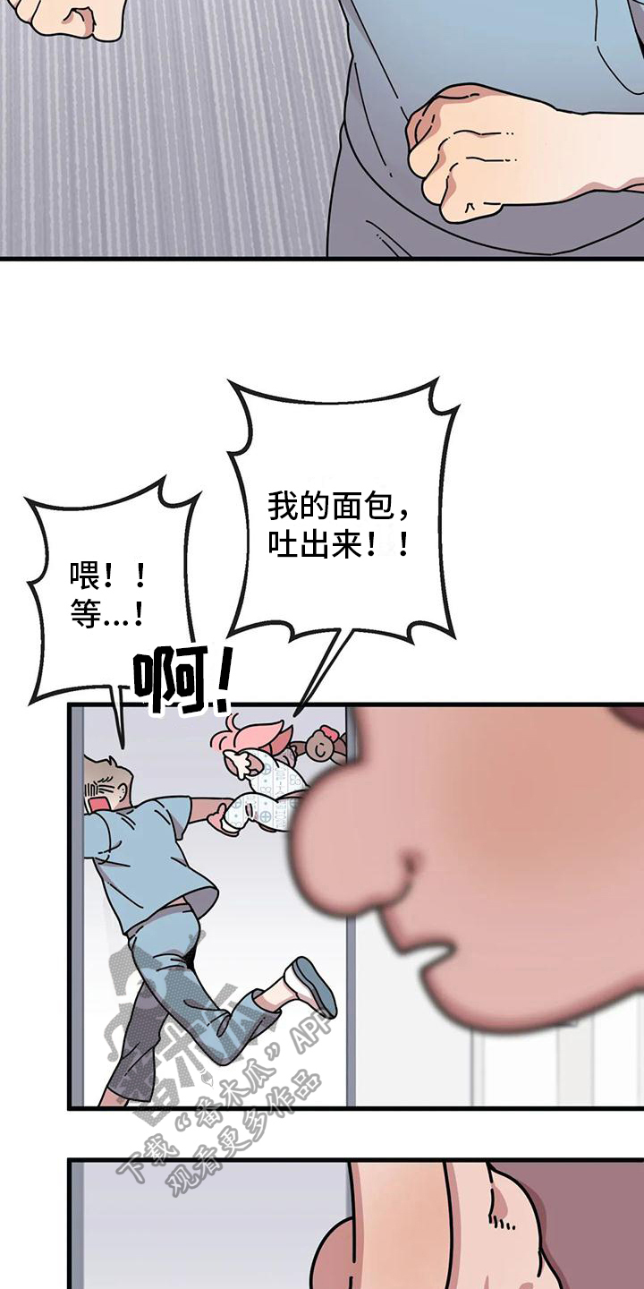 《温馨小熊》漫画最新章节第4章：新的小熊免费下拉式在线观看章节第【2】张图片