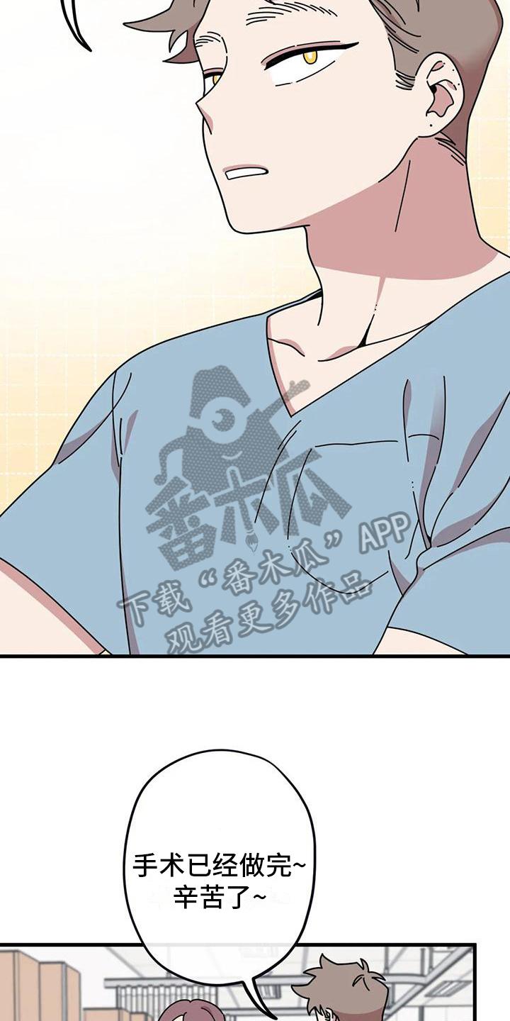 《温馨小熊》漫画最新章节第13章：重新开始免费下拉式在线观看章节第【10】张图片