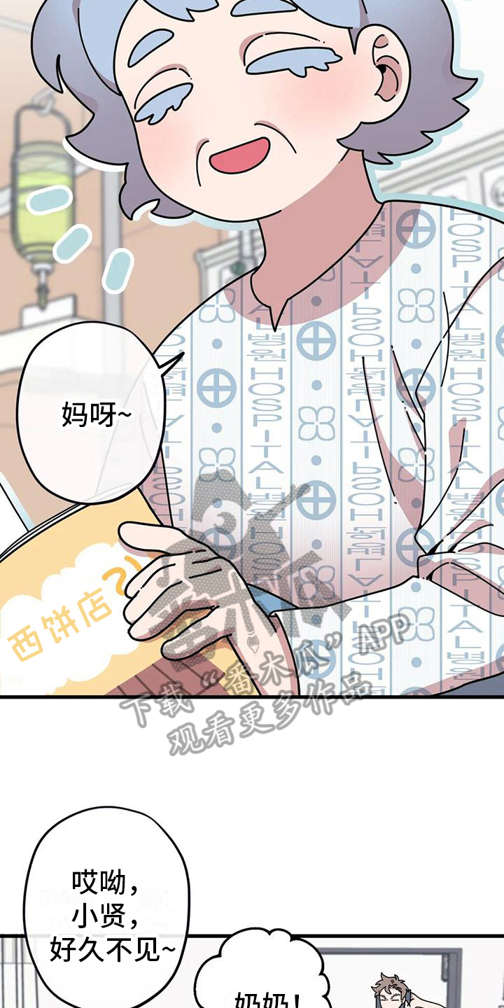 《温馨小熊》漫画最新章节第16章：没有爱情的婚姻免费下拉式在线观看章节第【9】张图片