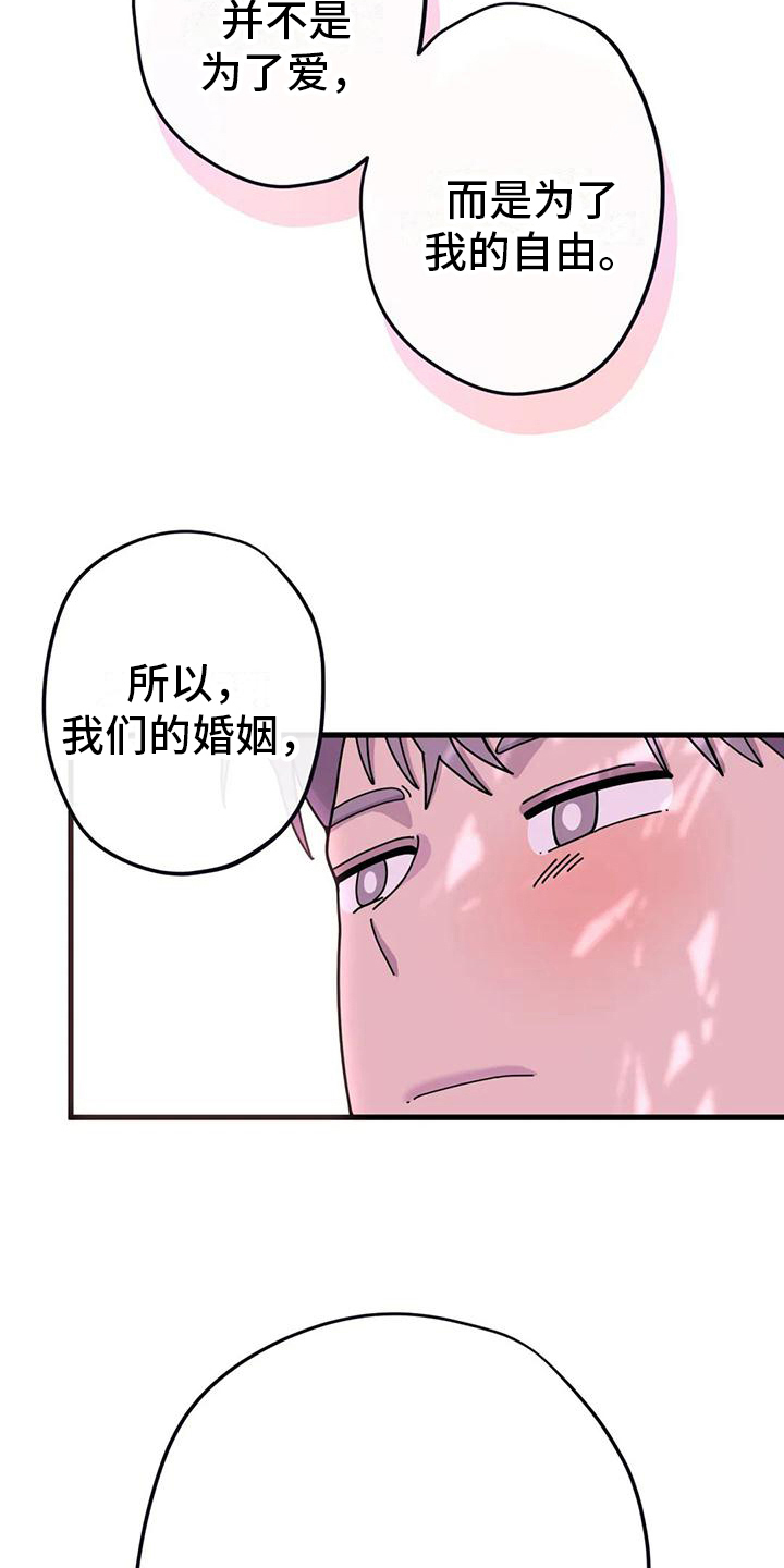 《温馨小熊》漫画最新章节第16章：没有爱情的婚姻免费下拉式在线观看章节第【15】张图片