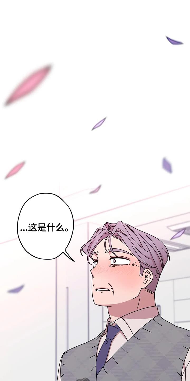 《温馨小熊》漫画最新章节第22章：我一直都很爱你免费下拉式在线观看章节第【27】张图片