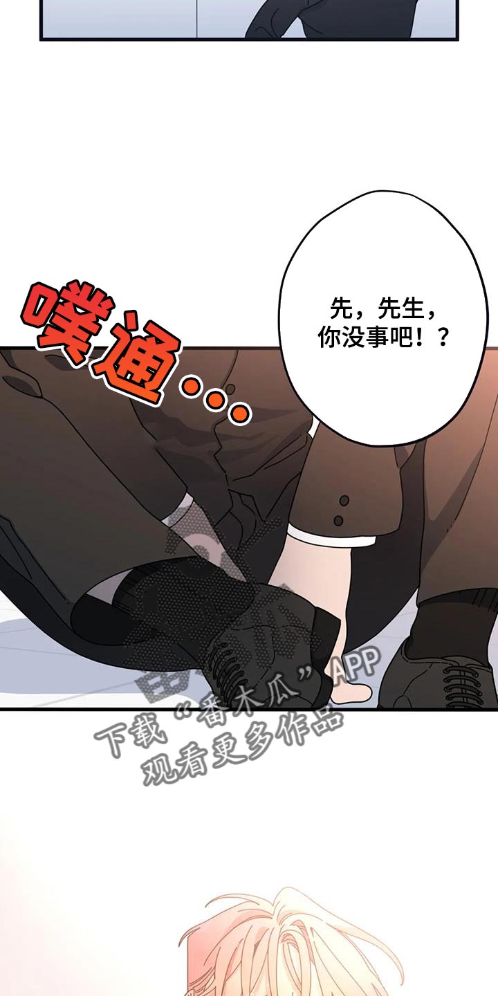 《温馨小熊》漫画最新章节第23章：真是万幸免费下拉式在线观看章节第【5】张图片