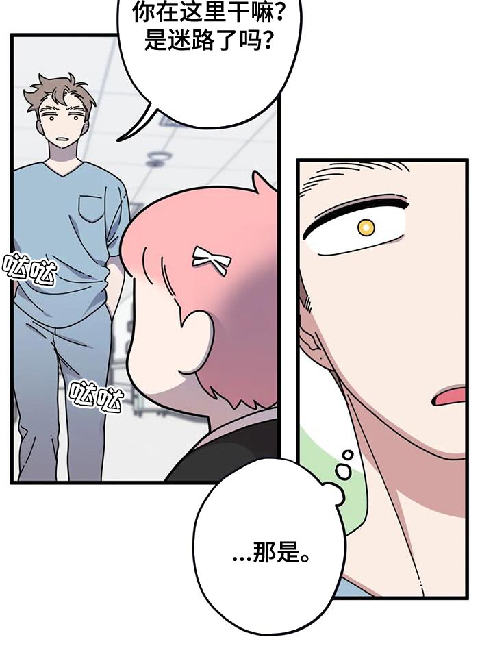 《温馨小熊》漫画最新章节第24章：哭泣免费下拉式在线观看章节第【14】张图片