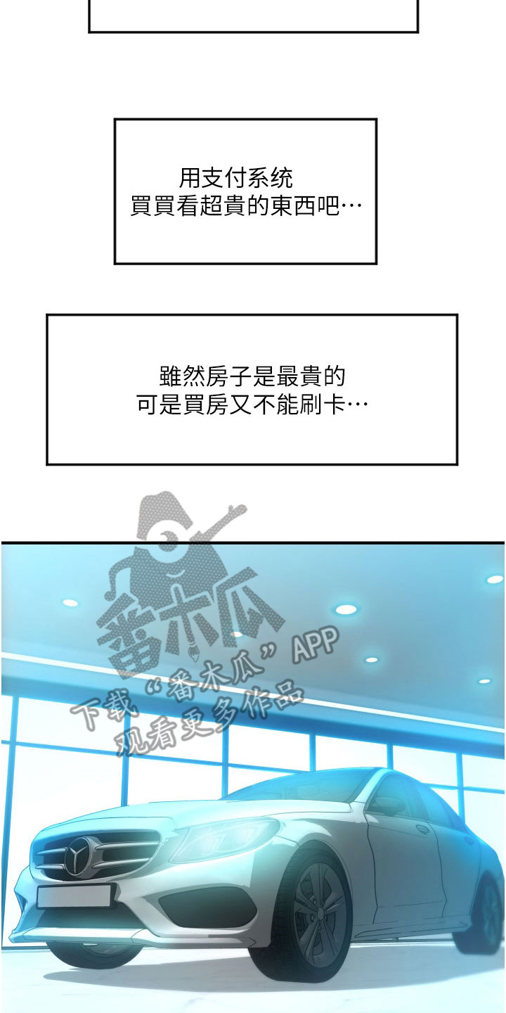 《另类支付》漫画最新章节第16章： 额度免费下拉式在线观看章节第【20】张图片