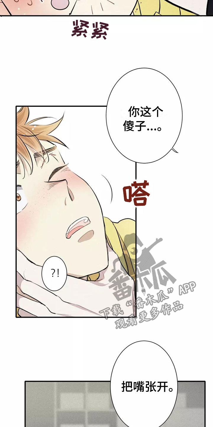 《念念不忘》漫画最新章节第5章： 初吻免费下拉式在线观看章节第【19】张图片